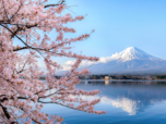 Have a Japan visa? Here are six other countries you can visit visa-free:Image