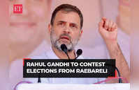 Congress fields Rahul Gandhi from Rae Bareli, KL Sharma to contest from Amethi; drops Priyanka Gandhi Vadra